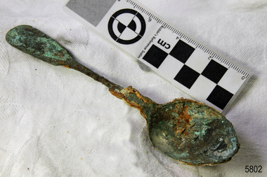 Spoon in golden colour covered with black and green marks and sea crustaceans