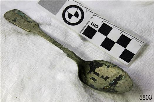 Spoon in golden colour covered with black and green marks and sea crustaceans