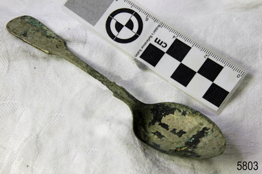 Spoon in golden colour covered with black and green marks and sea crustaceans