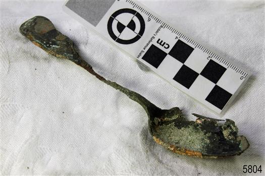 Spoon in golden colour covered with black and green marks and sea crustaceans