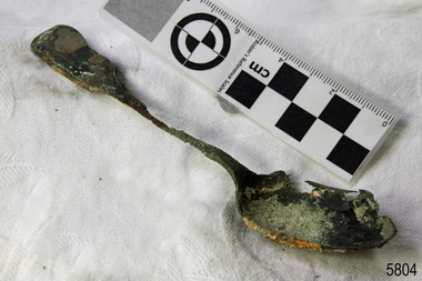 Spoon in golden colour covered with black and green marks and sea crustaceans