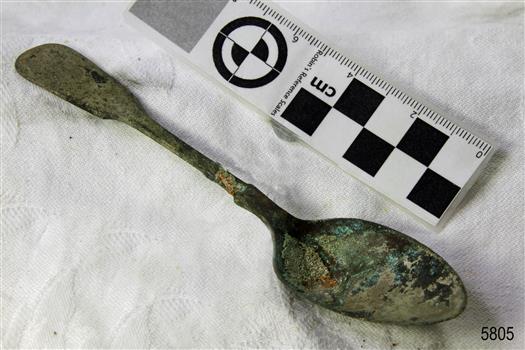 Spoon in golden colour covered with black and green marks and sea crustaceans