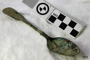 Spoon in golden colour covered with black and green marks and sea crustaceans