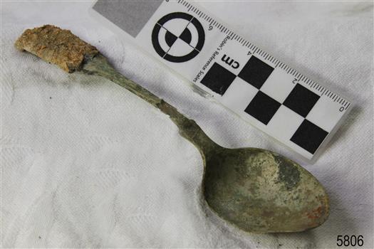 Spoon in golden colour covered with black and green marks and sea crustaceans