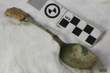 Spoon in golden colour covered with black and green marks and sea crustaceans
