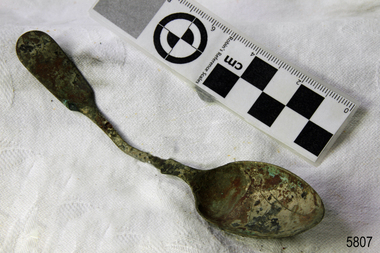 Spoon in golden colour covered with black and green marks and sea crustaceans