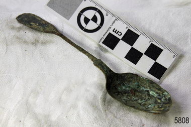 Spoon in golden colour covered with black and green marks and sea crustaceans