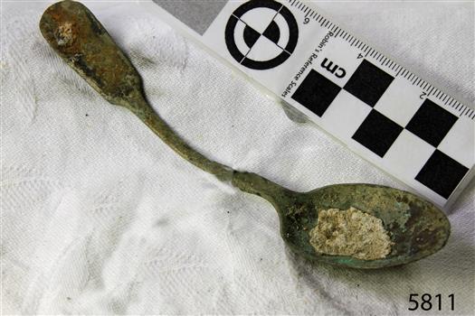Spoon in golden colour covered with black and green marks and sea crustaceans