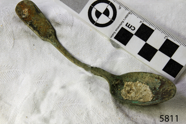 Spoon in golden colour covered with black and green marks and sea crustaceans