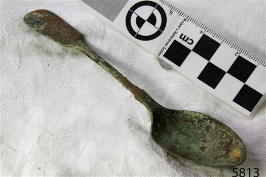 Spoon in golden colour covered with black and green marks and sea crustaceans