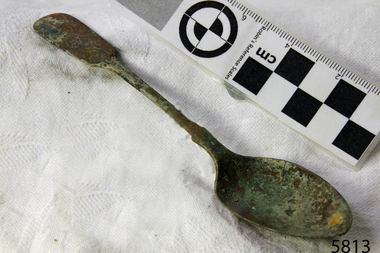 Spoon in golden colour covered with black and green marks and sea crustaceans