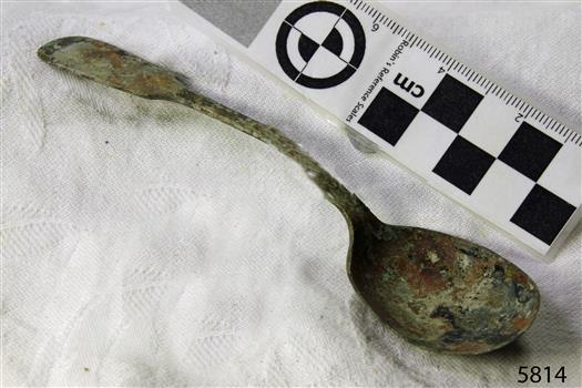 Spoon in golden colour covered with black and green marks and sea crustaceans