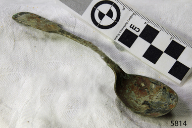 Spoon in golden colour covered with black and green marks and sea crustaceans