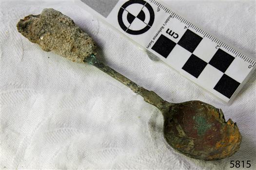 Spoon in golden colour covered with black and green marks and sea crustaceans