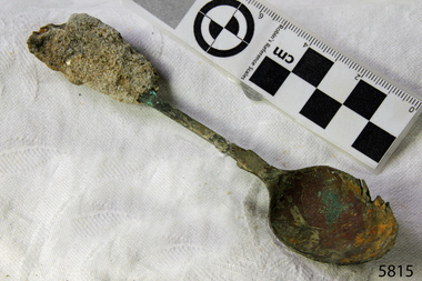 Spoon in golden colour covered with black and green marks and sea crustaceans