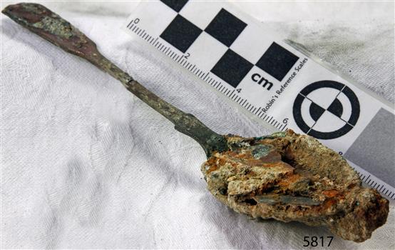 Spoon in golden colour covered with black and green marks and sea crustaceans