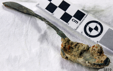 Spoon in golden colour covered with black and green marks and sea crustaceans