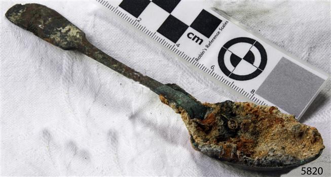 Spoon in golden colour covered with black and green marks and sea crustaceans