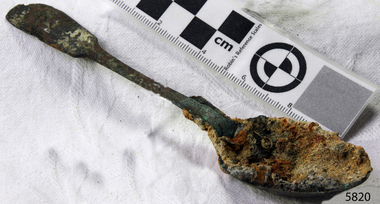 Spoon in golden colour covered with black and green marks and sea crustaceans