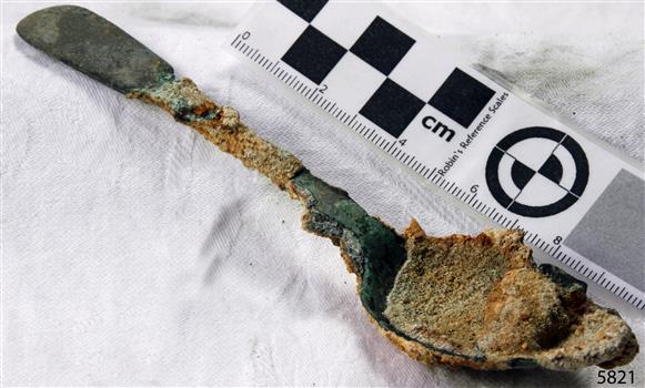 Spoon in golden colour covered with black and green marks and sea crustaceans