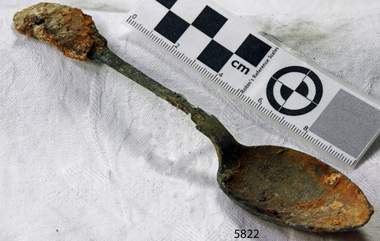 Spoon in golden colour covered with black and green marks and sea crustaceans
