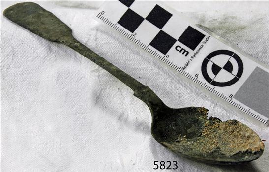Spoon in golden colour covered with black and green marks and sea crustaceans