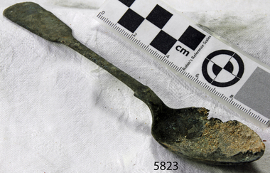 Spoon in golden colour covered with black and green marks and sea crustaceans