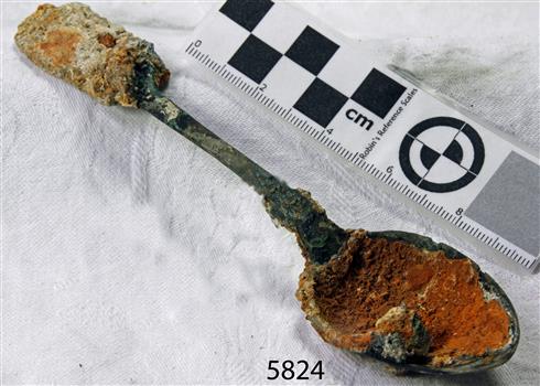 Spoon in golden colour covered with black and green marks and sea crustaceans