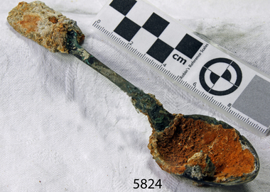 Spoon in golden colour covered with black and green marks and sea crustaceans