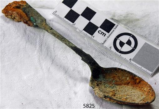 Spoon in golden colour covered with black and green marks and sea crustaceans