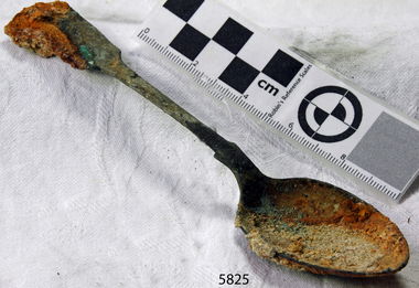 Spoon in golden colour covered with black and green marks and sea crustaceans