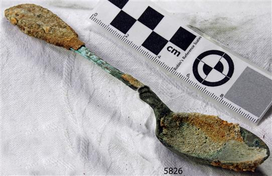 Spoon in golden colour covered with black and green marks and sea crustaceans