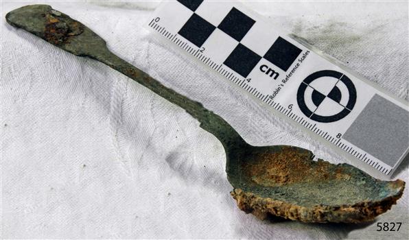 Spoon with golden in colour covered in black and green marks and sea crustaceans