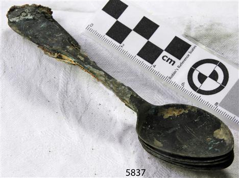 Spoons stuck together golden in colour covered in black and green marks and sea crustaceans