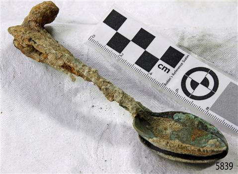 Spoons stuck together golden in colour covered in black and green marks and sea crustaceans