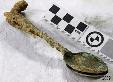 Spoons stuck together golden in colour covered in black and green marks and sea crustaceans