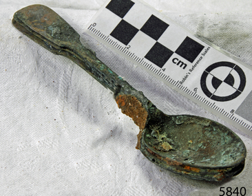 Spoons stuck together in golden in colour covered in black and green marks and sea crustaceans