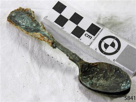 Spoon in golden colour covered with black and green marks and sea crustaceans