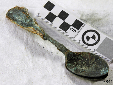 Spoon in golden colour covered with black and green marks and sea crustaceans