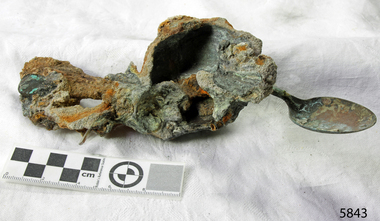 Spoon in golden colour covered with black and green marks enclosed in sea crustaceans