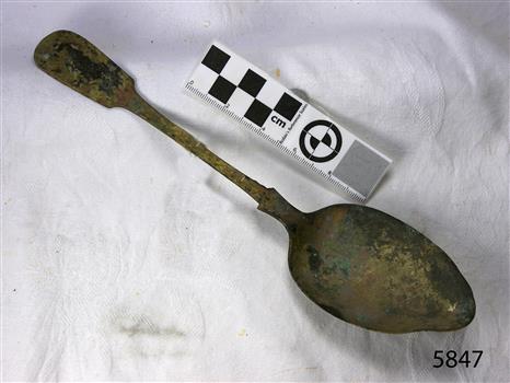 Spoon in golden colour covered with black and green marks and sea crustaceans