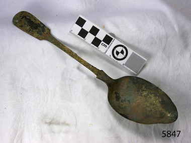Spoon in golden colour covered with black and green marks and sea crustaceans