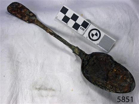 Spoon in golden colour covered with black and green marks and sea crustaceans