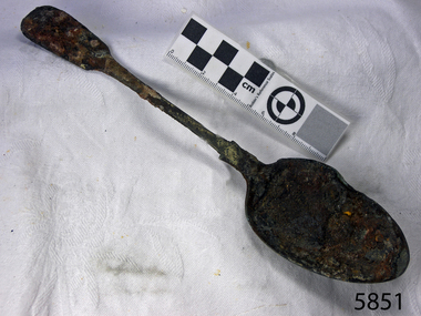 Spoon in golden colour covered with black and green marks and sea crustaceans