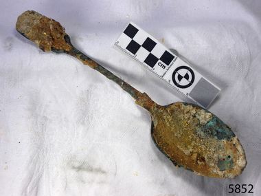 Spoon in golden colour covered with black and green marks and sea crustaceans