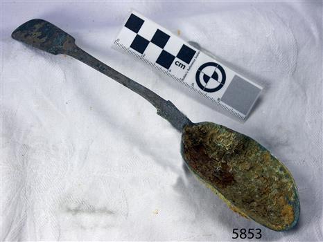 Spoon in golden colour covered with black and green marks and sea crustaceans