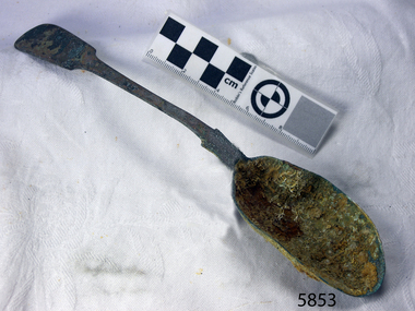 Spoon in golden colour covered with black and green marks and sea crustaceans