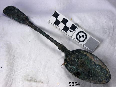 Spoon in golden colour covered with black and green marks and sea crustaceans