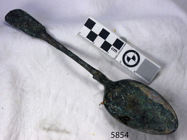 Spoon in golden colour covered with black and green marks and sea crustaceans