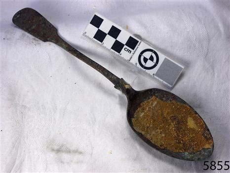 Spoon in golden colour covered with black and green marks and sea crustaceans